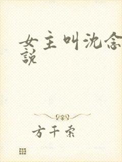 女主叫沈念的小说