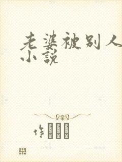 老婆被别人操的小说