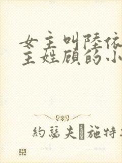 女主叫陆依依男主姓顾的小说封面