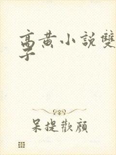 高黄小说双性父子封面