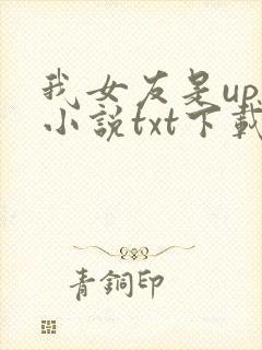 我女友是up主小说txt下载封面
