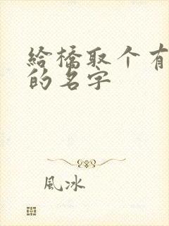 给桥取个有诗意的名字封面