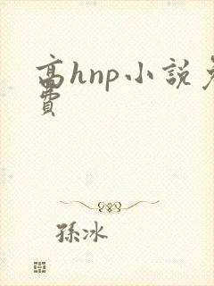 高hnp小说免费封面