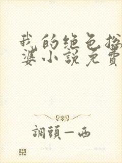 我的绝色总裁老婆小说免费阅读