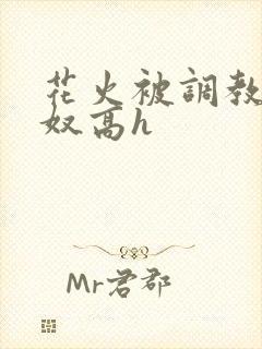 花火被调教成肉奴高h