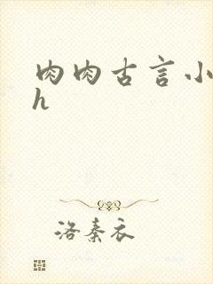 肉肉古言小说hh