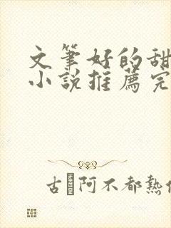 文笔好的甜宠文小说推荐完结