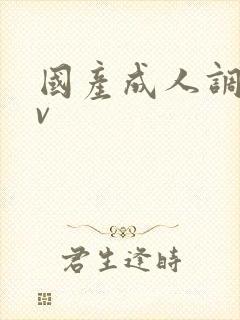 国产成人调教av