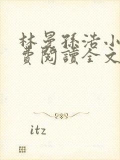 林曼孙浩小说免费阅读全文最新章节