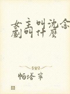 女主叫沈念的短剧叫什么