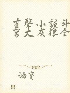 有声小说斗破苍穹大灰狼全集免费听