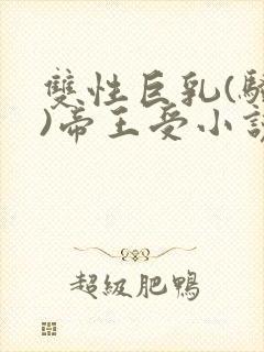 双性巨乳(骚受)帝王受小说