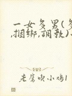 一女多男(多p,捆绑,调教)小说