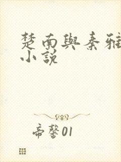 楚南与秦雅柔的小说封面