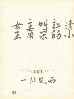 女主叫许清欢男主角宋的小说