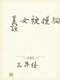 美女被摸胸的小说