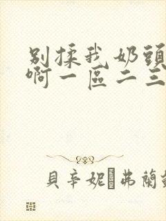 别揉我奶头嗯～啊一区二三区