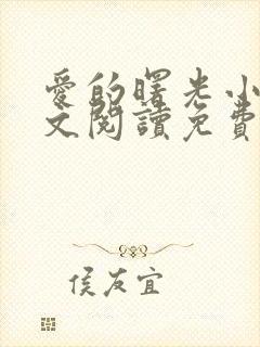 爱的曙光小说全文阅读免费无弹窗封面