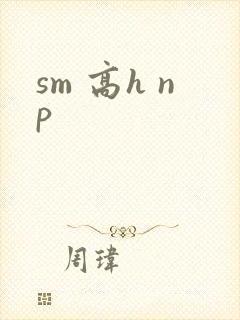 sm 高h np