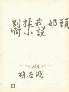 别揉我奶头嗯～啊小说