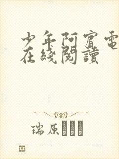 少年阿宾电子书在线阅读