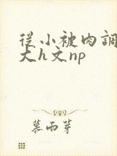 从小被肉调教到大h文np封面
