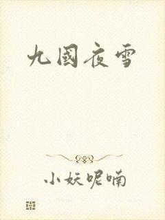 九国夜雪封面