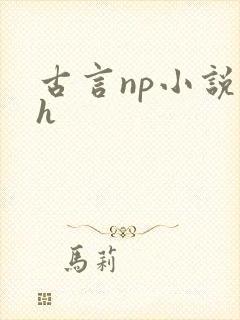古言np小说高h