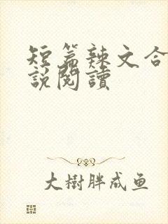 短篇辣文合集小说阅读