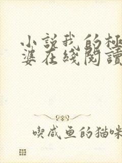 小说我的极品老婆在线阅读全文