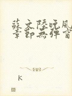 苏文陆晚风最新章节无弹窗笔趣阁