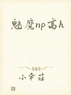 魅魔np高h