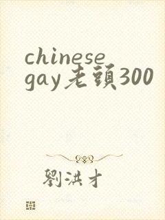 chinesegay老头300