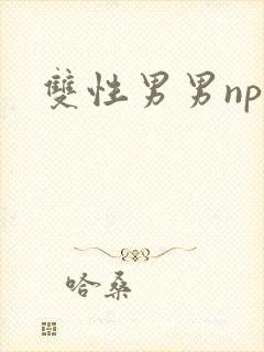 双性男男np文封面