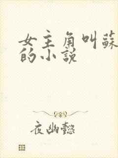 女主角叫苏雨薇的小说