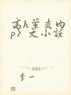 高h荤爽肉〈np〉文小说封面