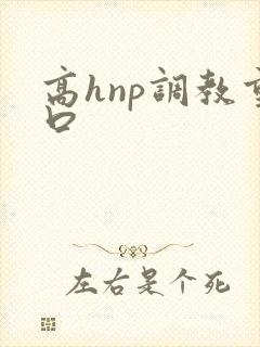 高hnp调教重口