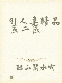 91人妻精品一区二区封面