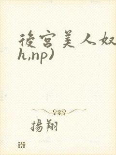 后宫美人奴(高h,np)