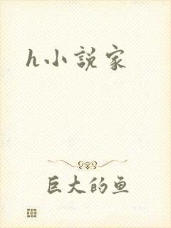 h小说家