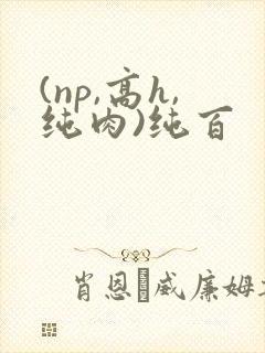(np,高h,纯肉)纯百