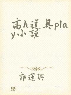 高h道具play小说