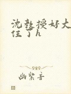 沈教授好大含不住了h