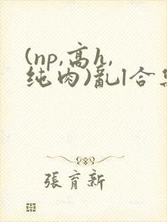 (np,高h,纯肉)乱l合集封面