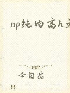 np纯肉高h文