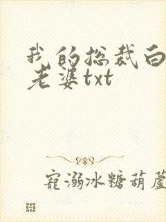 我的总裁白富美老婆txt