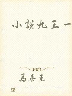 小说九王一后封面