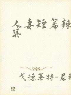 人妻短篇辣文合集