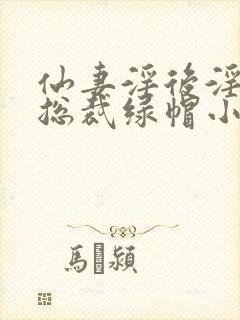 仙妻淫后淫臀女总裁绿帽小说封面