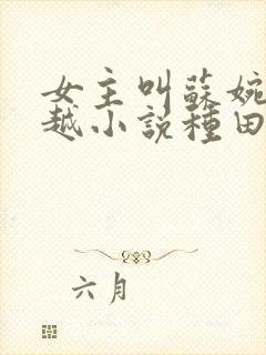 女主叫苏婉的穿越小说种田